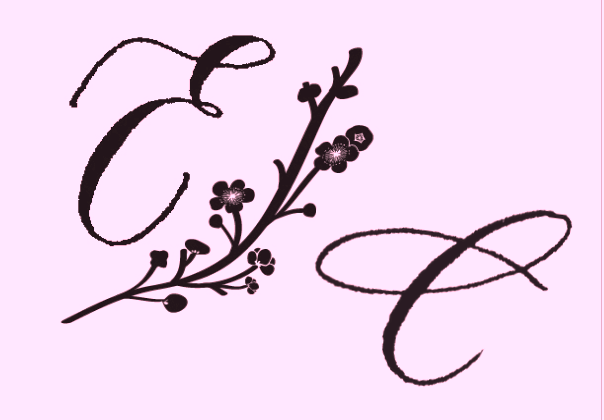 erin-caite-designs-logo